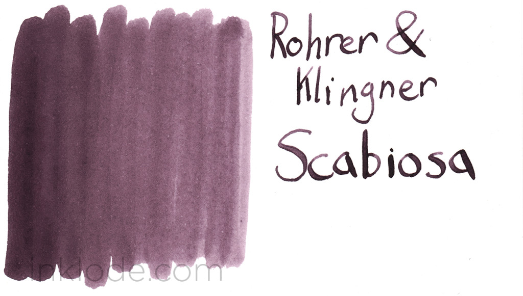 Rohrer & Klingner Scabiosa